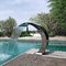 Stainless Steel Swimming Pool Accessories SPA Head Equipment Massage Fountains Waterfall 25m3/h