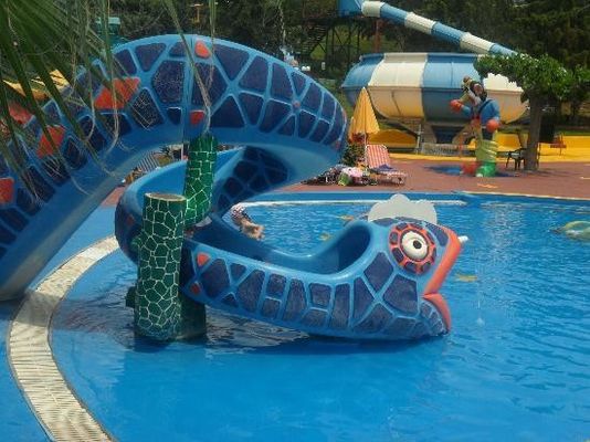 Outdoor Water Amusement Park Play Area Carnivals Water Toys Snake Fiberglass Water Slide