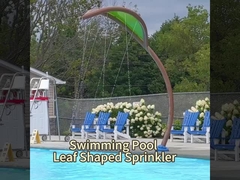 OEM Water Park Equipment, Cactus Spray Water Splash Pad Pool Toys